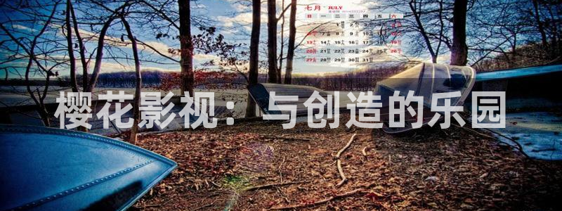 家庭影院星空顶多少钱一平方