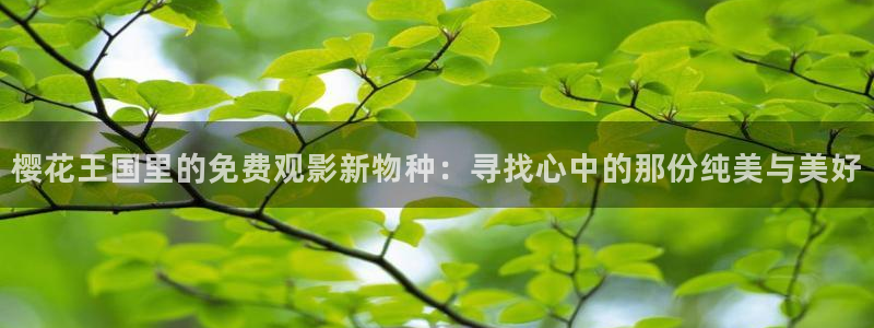 星空高清免费观看