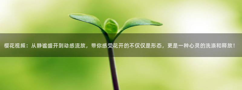 星空影视免费下载官网