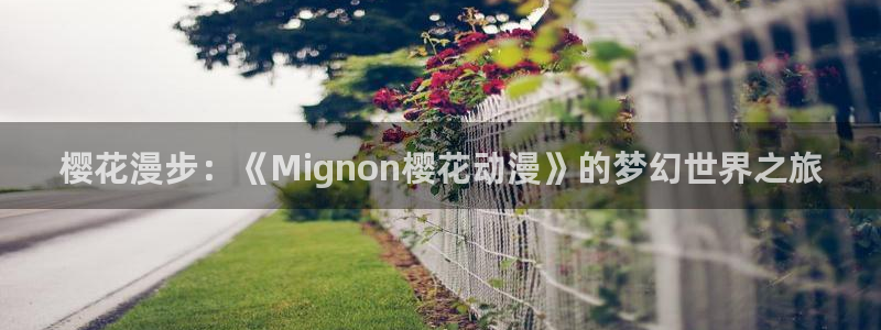 《无所畏惧2》免费观看麻豆电影