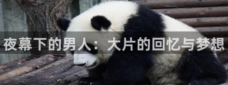 星空电影网在线观看