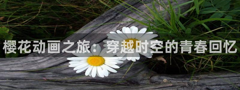 麻豆电影电影在线观看免费高清