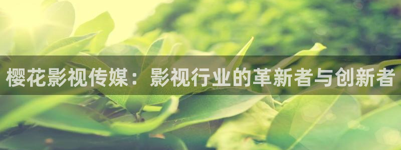 星空影视网免费观看