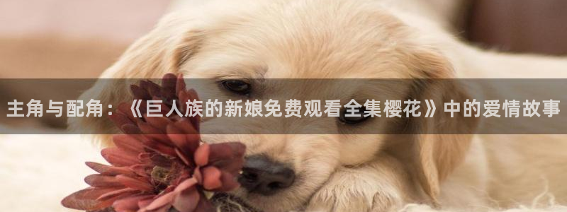延安麻豆电影今日影讯