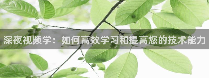 麻豆电影动漫在线观看