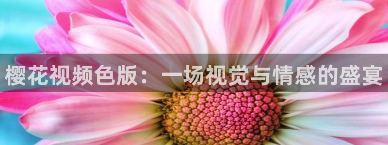 麻豆电影免费观看在线高清