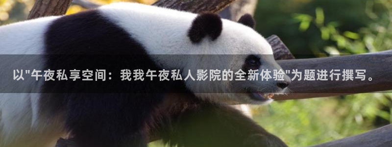 星空影视伦理