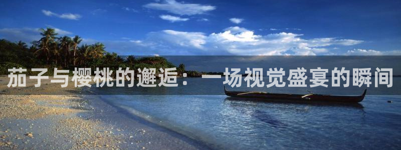 星空影视手机版官网
