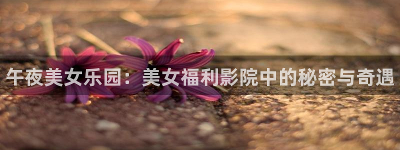 麻豆电影电影在线观看免费高清炽道
