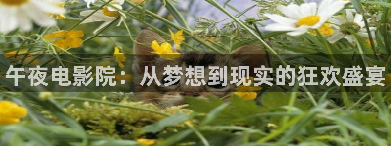 娄底星空影城今日电影