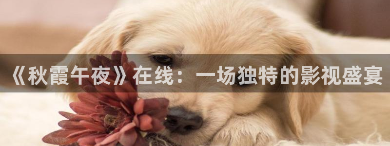 影视厅星空顶