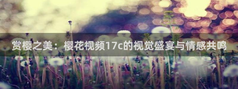 麻豆电影 入口