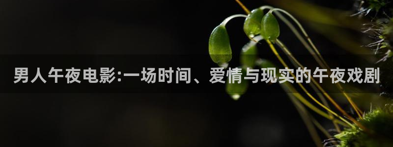 麻豆电影在线看电视剧