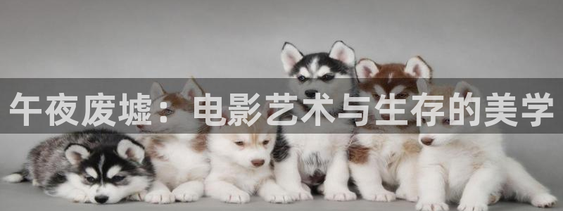 麻豆电影在线观看星辰