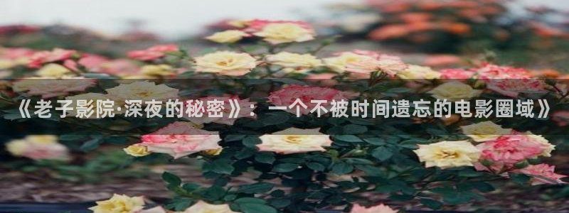 合肥星空今日影讯
