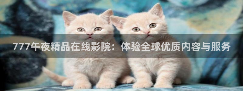 麻豆电影影视在线